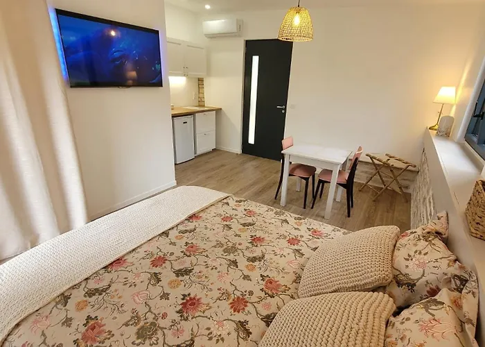 Apartamento D'hôtes - La Pause Cadurcienne Cahors